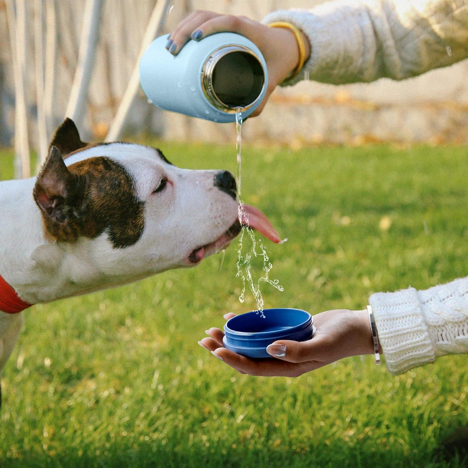 HYDOVEX BOTTLE 850ml (30oz) Insulated Water Bottle with Straw Blue – Thermos for Hot Beverages and Pill Holder